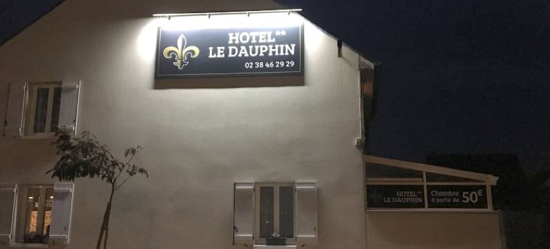 海豚酒店(Hôtel le Dauphin)图片