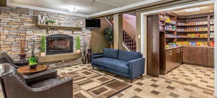 底特律机场马格努森酒店(Magnuson Hotel Detroit Airport)图片