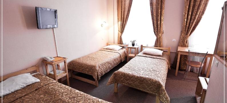 天鹅老鹰酒店(Lebedushka on Engelsa)图片