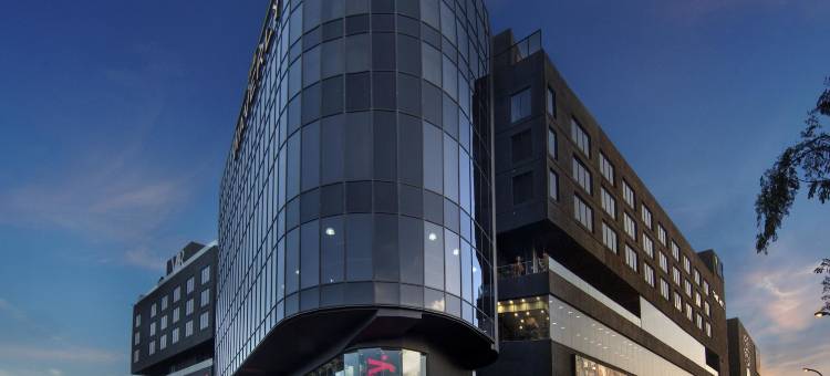 韦弗利公寓酒店(The Waverly Hotel & Residences)图片