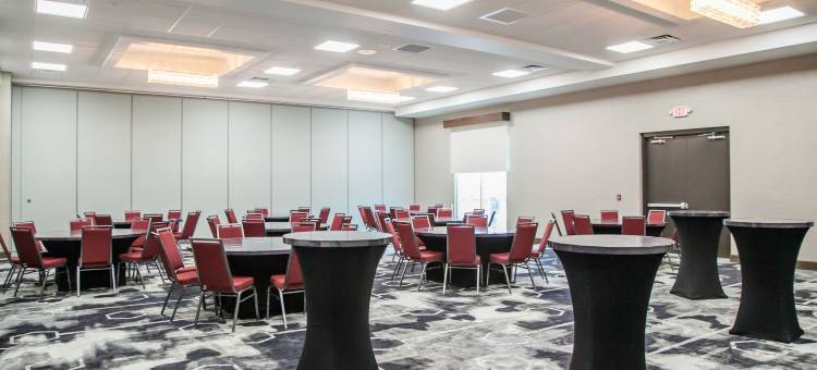 坦帕桑科斯特大道希尔顿花园酒店(Hilton Garden Inn Tampa Suncoast Parkway)图片