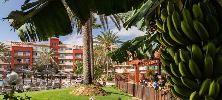 厄尔巴卡洛塔海滩度假酒店&会议中心(Elba Carlota Beach & Golf Resort)图片