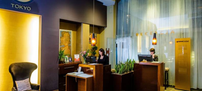 豪华精品酒店(Grand Hotel Boutique)图片