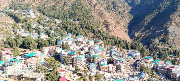 白水旅馆(White Water Inn Mcleodganj)图片