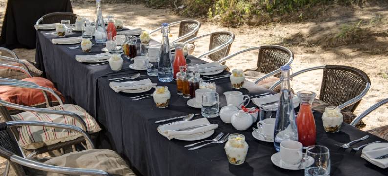 丁斯瓦洛野生动物园(Tintswalo Safari)图片