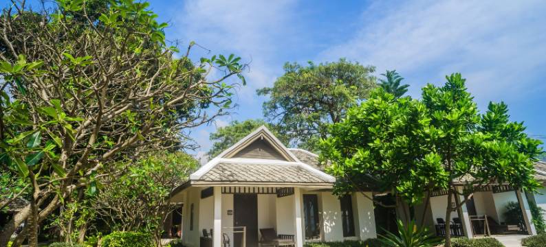 苏梅蜂巢酒店(The Hive Hotel)图片