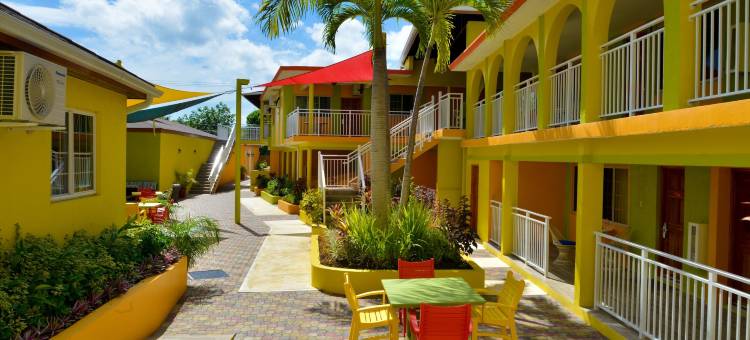 可可棕榈酒店(Coco la Palm)图片