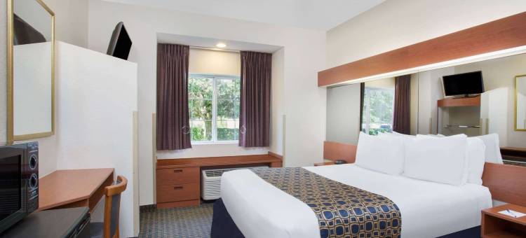 利物浦-多拉山麦客达套房酒店(Microtel Inn & Suites by Wyndham Leesburg/Mt Dora)图片