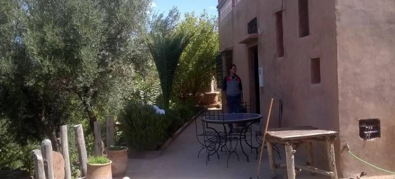 里亚德狄瓦尼酒店(Riad Diwane)图片