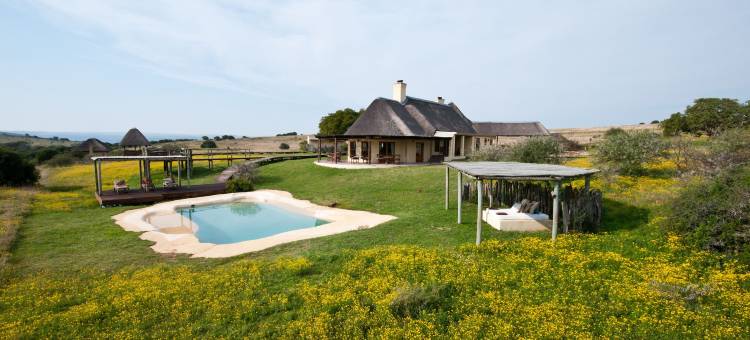 何洛西娱乐旅馆(Hlosi Game Lodge - Amakhala Game Reserve)图片