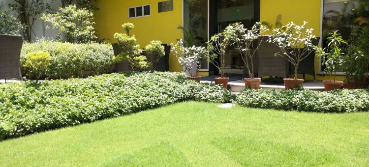 古尔冈乌德约格维哈尔柠檬树酒店(Lemon Tree Hotel, Udyog Vihar, Gurugram)图片