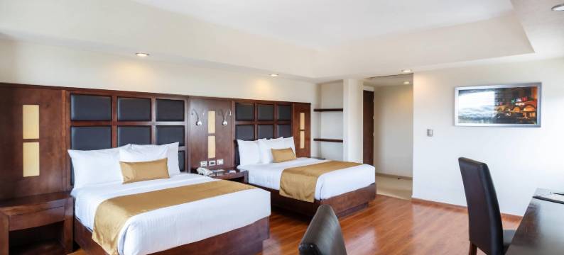 普埃布拉历史中心舒适酒店(Comfort Inn Puebla Centro Histórico)图片