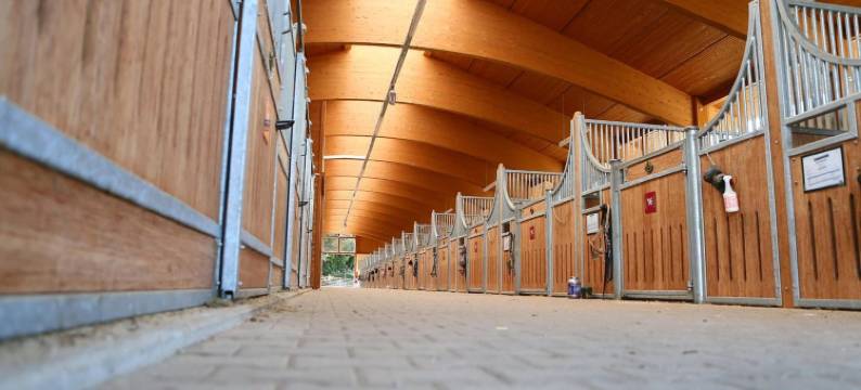 阿尔高草地牧场酒店(Allgäu Meadow Ranch)图片