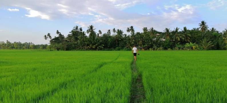 维威卡旅馆(Viveka Inn Guest and Yala Safari)图片