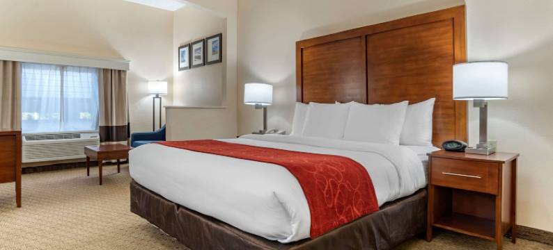 机场舒适套房酒店(Comfort Suites Airport)图片