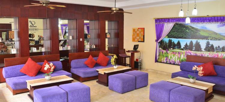 薰衣草水疗别墅(Lavender Villa & Spa)图片