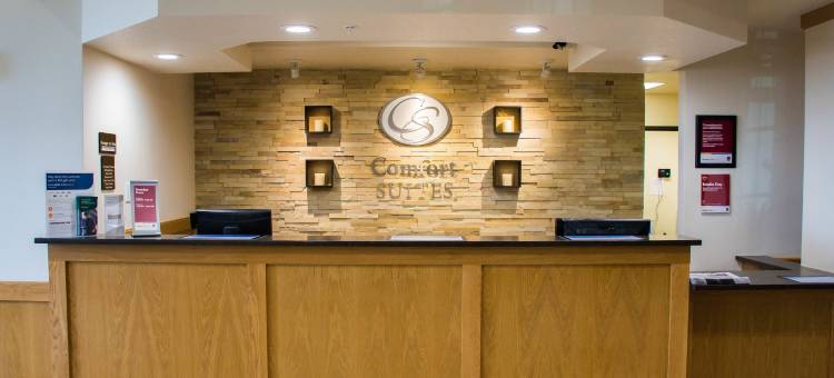 舒适套房酒店-埃尔帕索机场(Comfort Suites El Paso Airport)图片