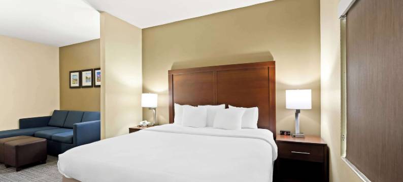 格林斯伯勒温斯顿塞勒姆高点丽怡酒店(Comfort Inn & Suites High Point - Archdale)图片