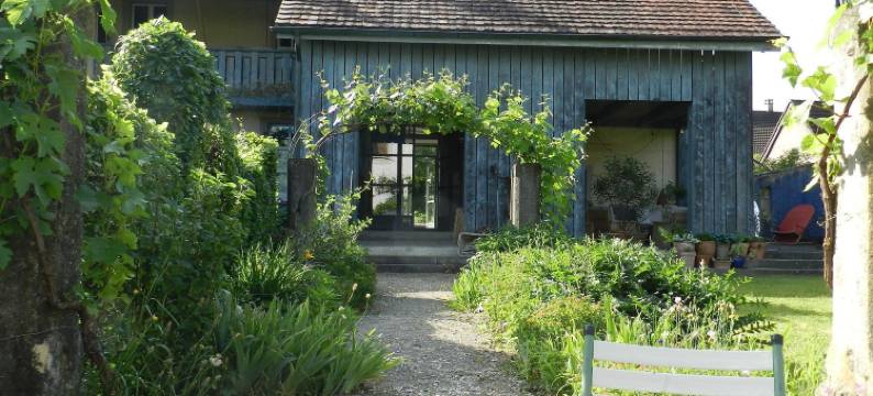 蓝泡泡墙酒店(Blue Wall Bnb)图片