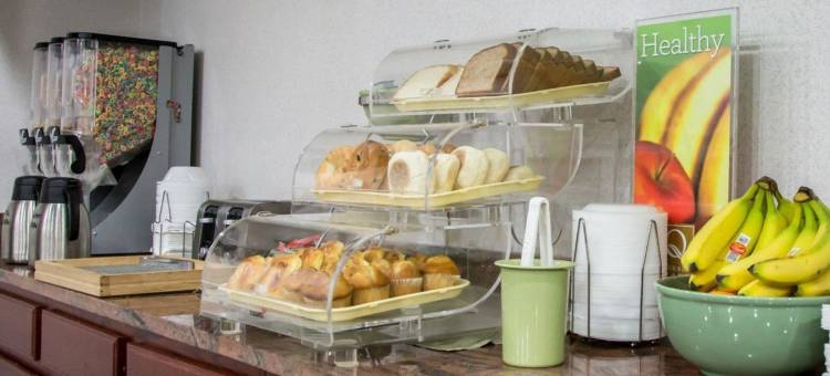 拉夫斯帕克凯艺套房酒店 - 近罗克福德(Quality Inn & Suites Loves Park Near Rockford)图片