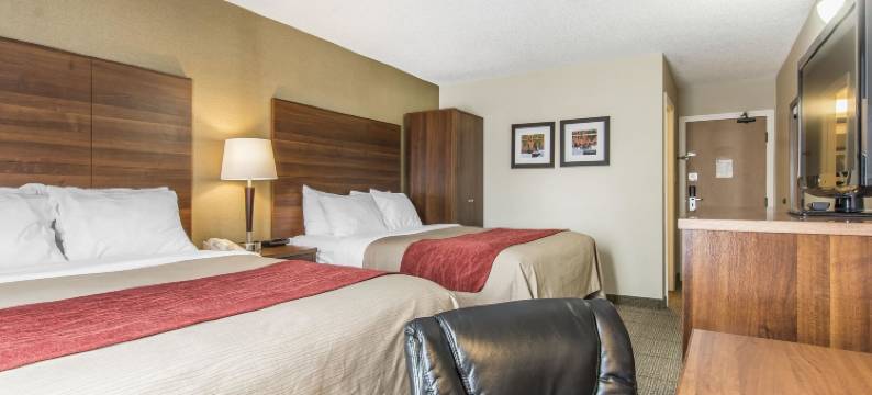 舒适酒店(Comfort Inn)图片