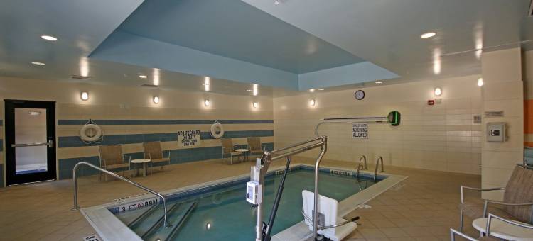 北查尔斯顿/阿什利法斯菲特万豪SpringHill Suites 酒店(SpringHill Suites Charleston North/Ashley Phosphate)图片