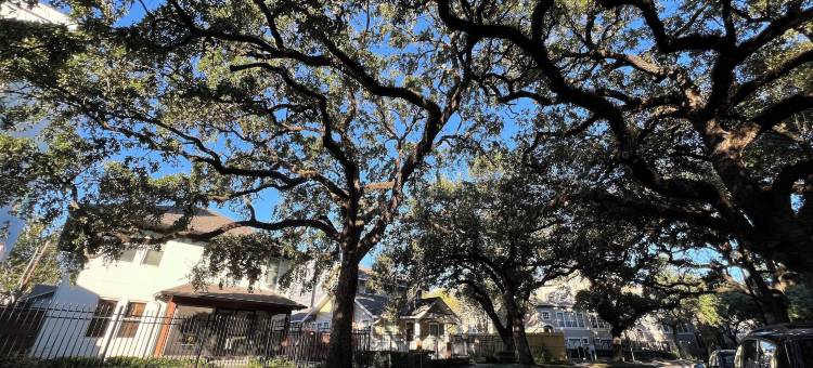 我的小屋-休斯顿旅舍(MyCrib Houston Hostel)图片