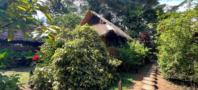 Ecolucerna旅馆Tambopata(Ecolucerna Lodge Tambopata)图片