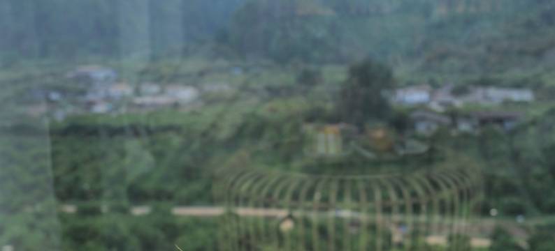 阿卡帕米O(Akha PhamiO)图片