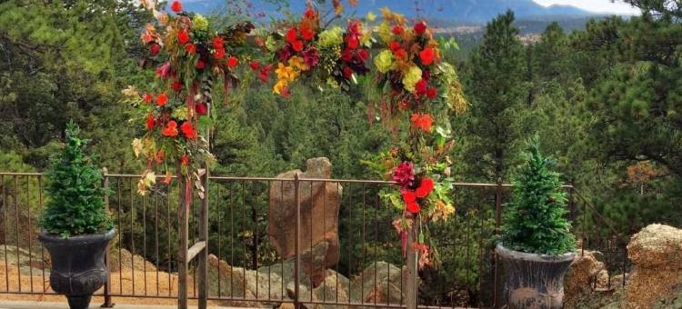 派克峰天堂民宿(Pikes Peak Paradise Bed and Breakfast)图片
