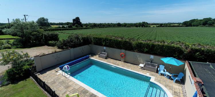 鸟类农场(Birds Farm)图片