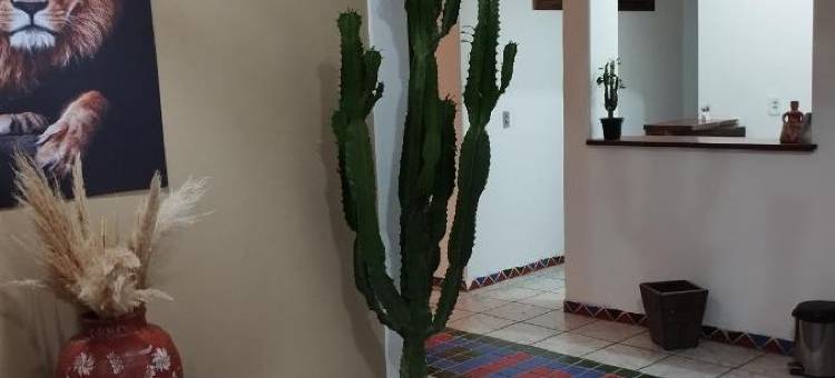 雷索尔客栈(Pousada Raysol)图片