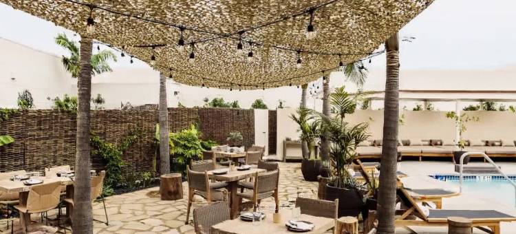 洛杉矶六月酒店，设计酒店旗下(Hotel June West La, a Member of Design Hotels)图片