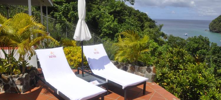 马里戈特棕榈华丽宾馆(Marigot Palms Luxury Guesthouse)图片