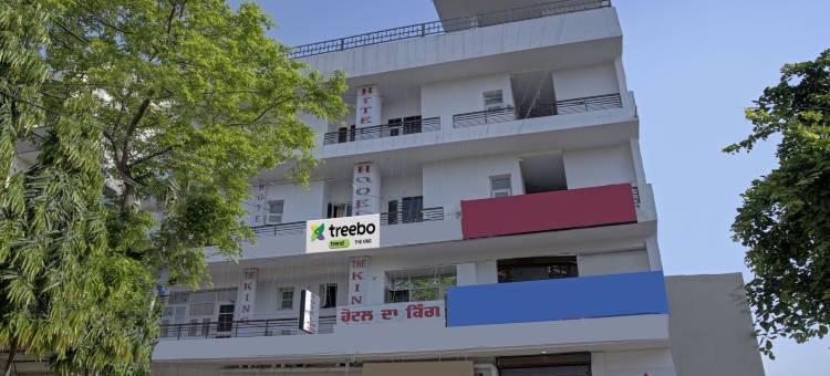 Treebo 莫哈里国王酒店(Treebo the King Mohali)图片