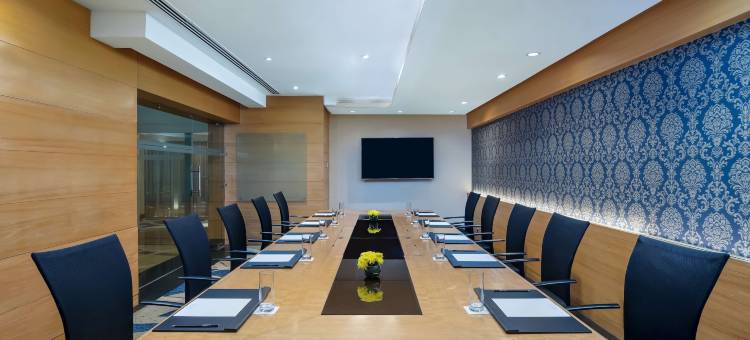 康诺特广场丽笙酒店(Radisson Blu Marina Hotel Connaught Place)图片