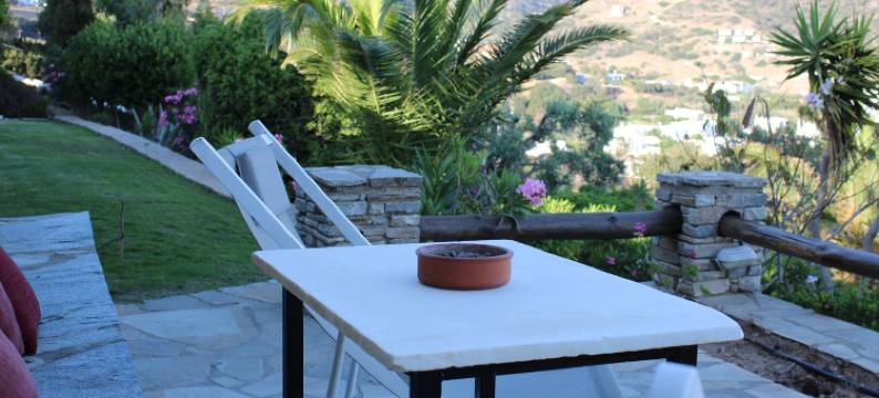 蓝海豚酒店(Blue Dolphin)图片