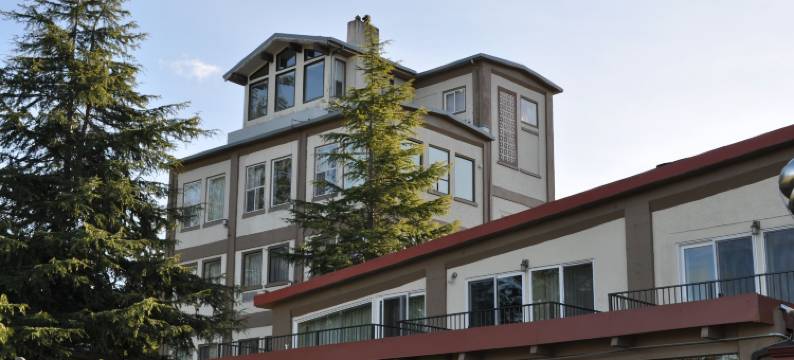 老酒厂酒店(Old Alcohol Plant)图片