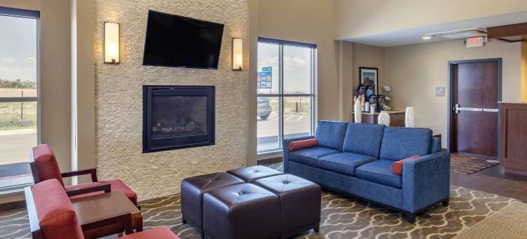 舒适套房酒店(Comfort Inn & Suites)图片