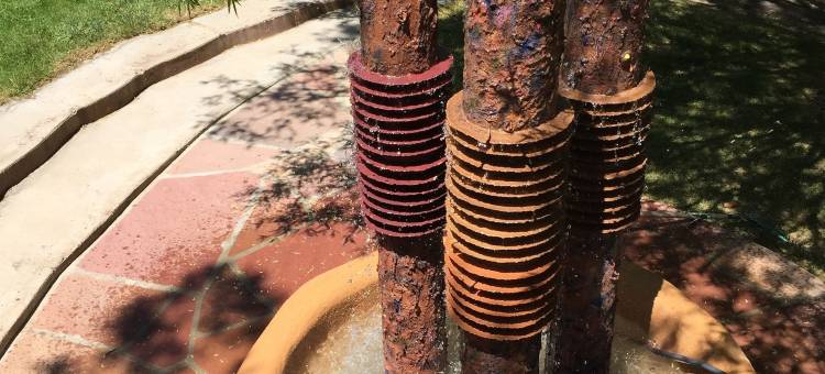 陶斯老城区住宿加早餐旅馆(Old Taos Guesthouse B&B)图片