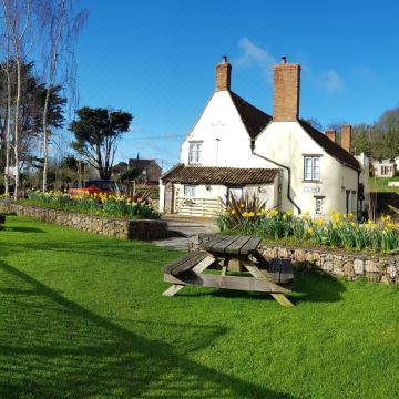 老庄园家庭旅馆(Old Manor House)图片