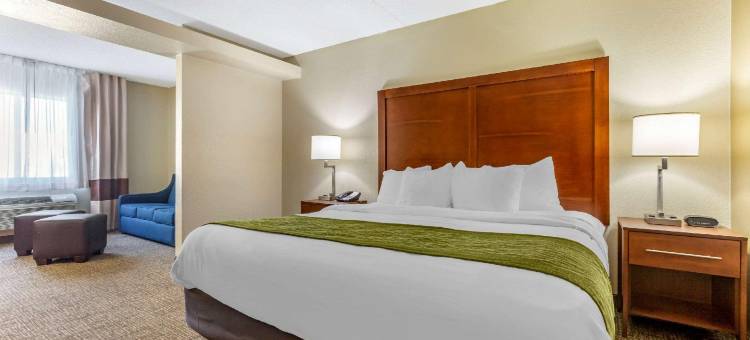 凤凰城北/鹿谷舒适套房酒店(Comfort Inn & Suites Phoenix North - Deer Valley)图片