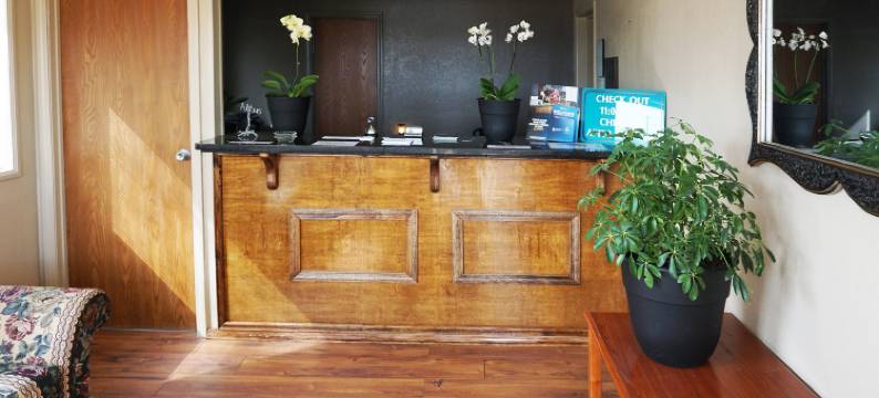 OYO 阿尔特斯北大街酒店(OYO Hotel Altus N Main St)图片