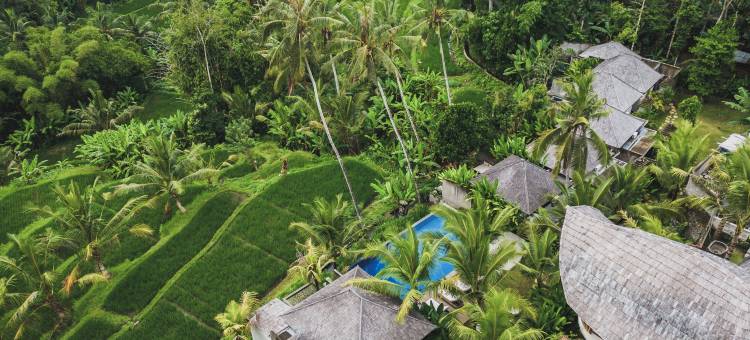 乌布Maar度假村由Ini Vie Hospitality运营(Maar Resort Ubud by Ini Vie Hospitality)图片