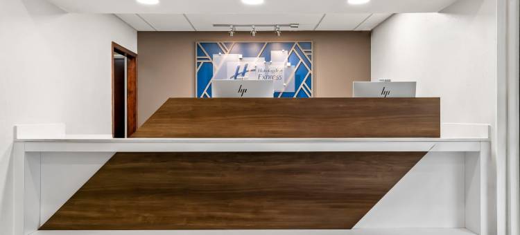 Holiday Inn Express 拉皮尔(Holiday Inn Express Lapeer)图片