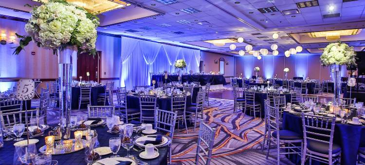 灯光芝加哥逸林酒店(DoubleTree by Hilton Hotel Chicago - Alsip)图片