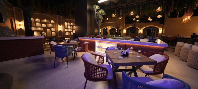 赖布尔普莱德艾丽特酒店(Pride Elite Raipur)图片
