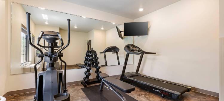 舒适酒店及套房梅迪纳纽约靠近伊利运河(Comfort Inn & Suites Medina NY Near Erie Canal)图片