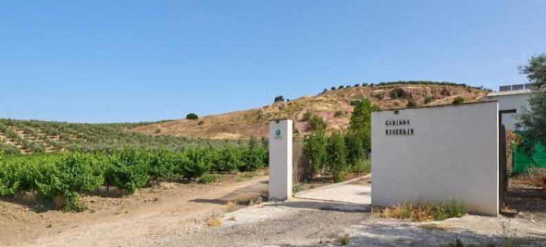 Apartment in Montilla near Palacio Medinaceli图片