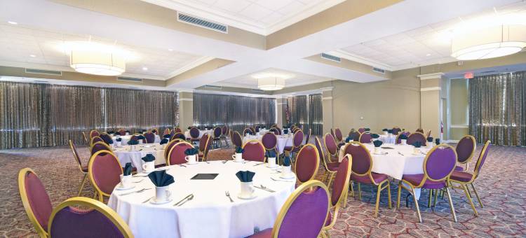 Holiday Inn 孟菲斯市区(比尔ST。) by IHG(Holiday Inn Memphis-Downtown (Beale ST by IHG)图片